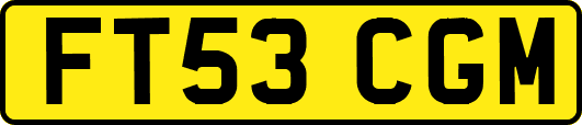 FT53CGM