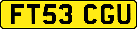 FT53CGU