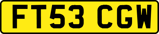 FT53CGW
