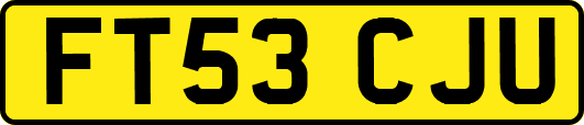 FT53CJU