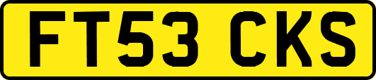 FT53CKS