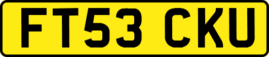 FT53CKU