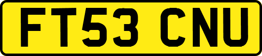 FT53CNU