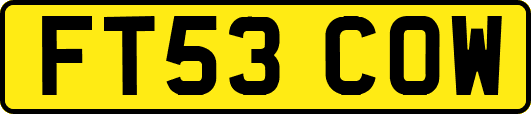 FT53COW