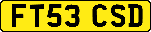 FT53CSD