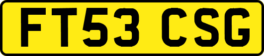 FT53CSG
