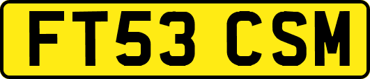 FT53CSM