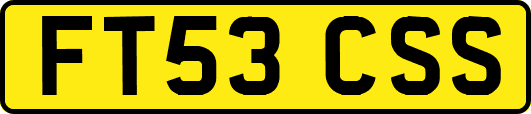 FT53CSS