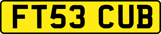 FT53CUB