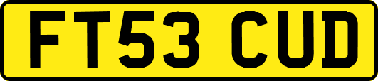 FT53CUD