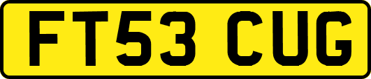 FT53CUG