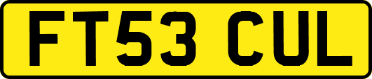 FT53CUL