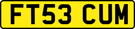 FT53CUM