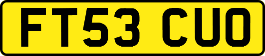 FT53CUO