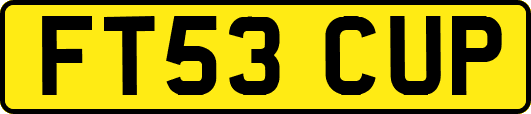 FT53CUP
