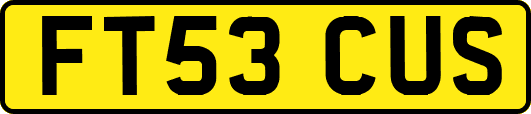 FT53CUS