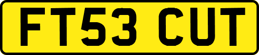 FT53CUT