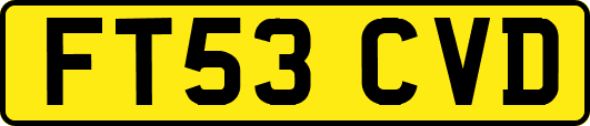 FT53CVD