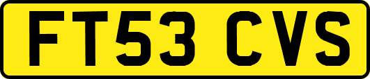 FT53CVS