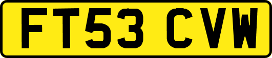 FT53CVW
