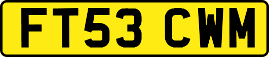 FT53CWM