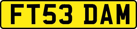 FT53DAM
