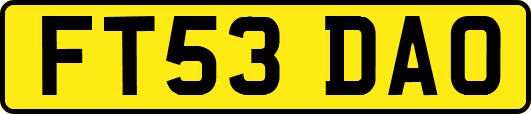 FT53DAO