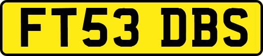 FT53DBS
