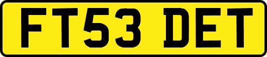 FT53DET