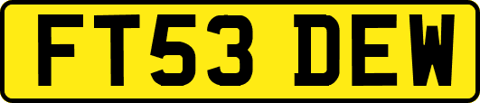 FT53DEW