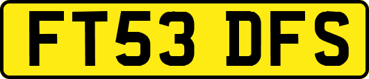 FT53DFS