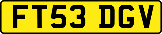 FT53DGV