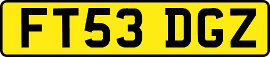 FT53DGZ