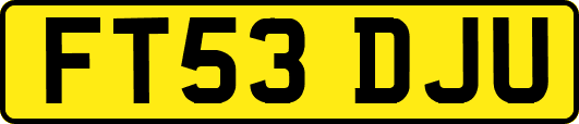 FT53DJU