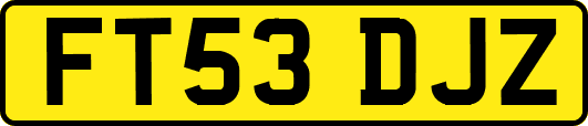 FT53DJZ