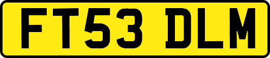 FT53DLM