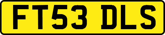 FT53DLS