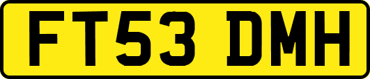 FT53DMH