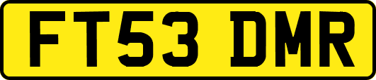 FT53DMR