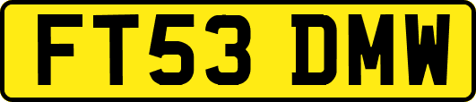 FT53DMW