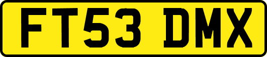 FT53DMX
