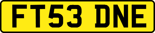 FT53DNE