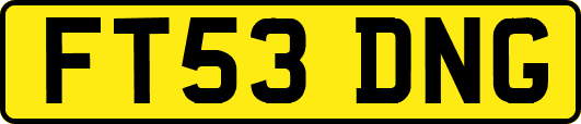 FT53DNG