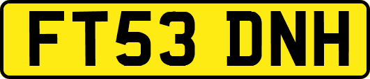 FT53DNH
