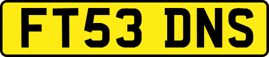 FT53DNS