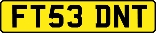 FT53DNT