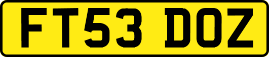 FT53DOZ