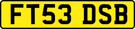 FT53DSB