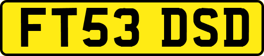 FT53DSD