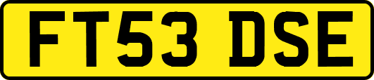 FT53DSE